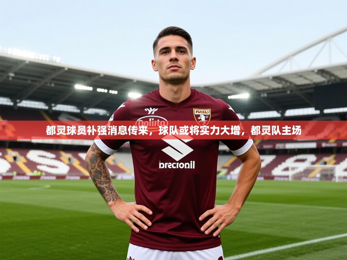 2025ued体育网页版都灵球员补强消息传来，球队或将实力大增，都灵队主场  第3张
