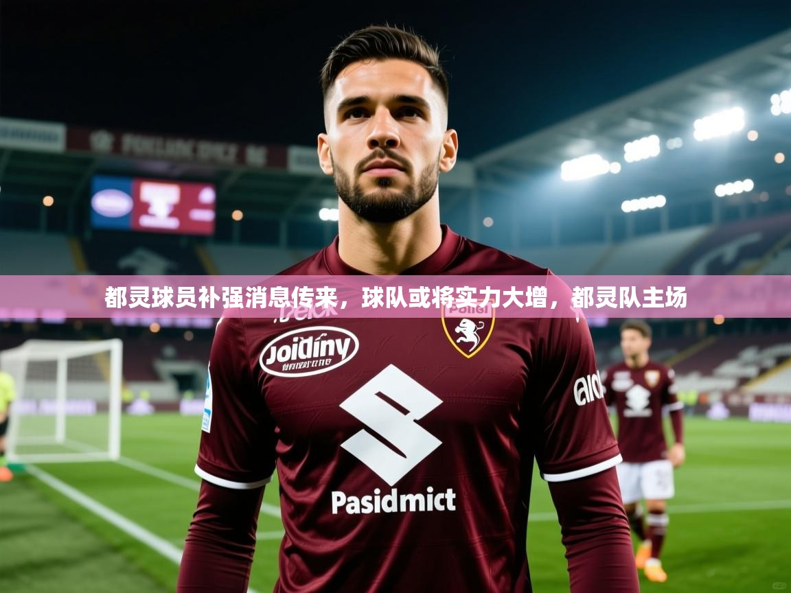 2025ued体育网页版都灵球员补强消息传来，球队或将实力大增，都灵队主场  第4张