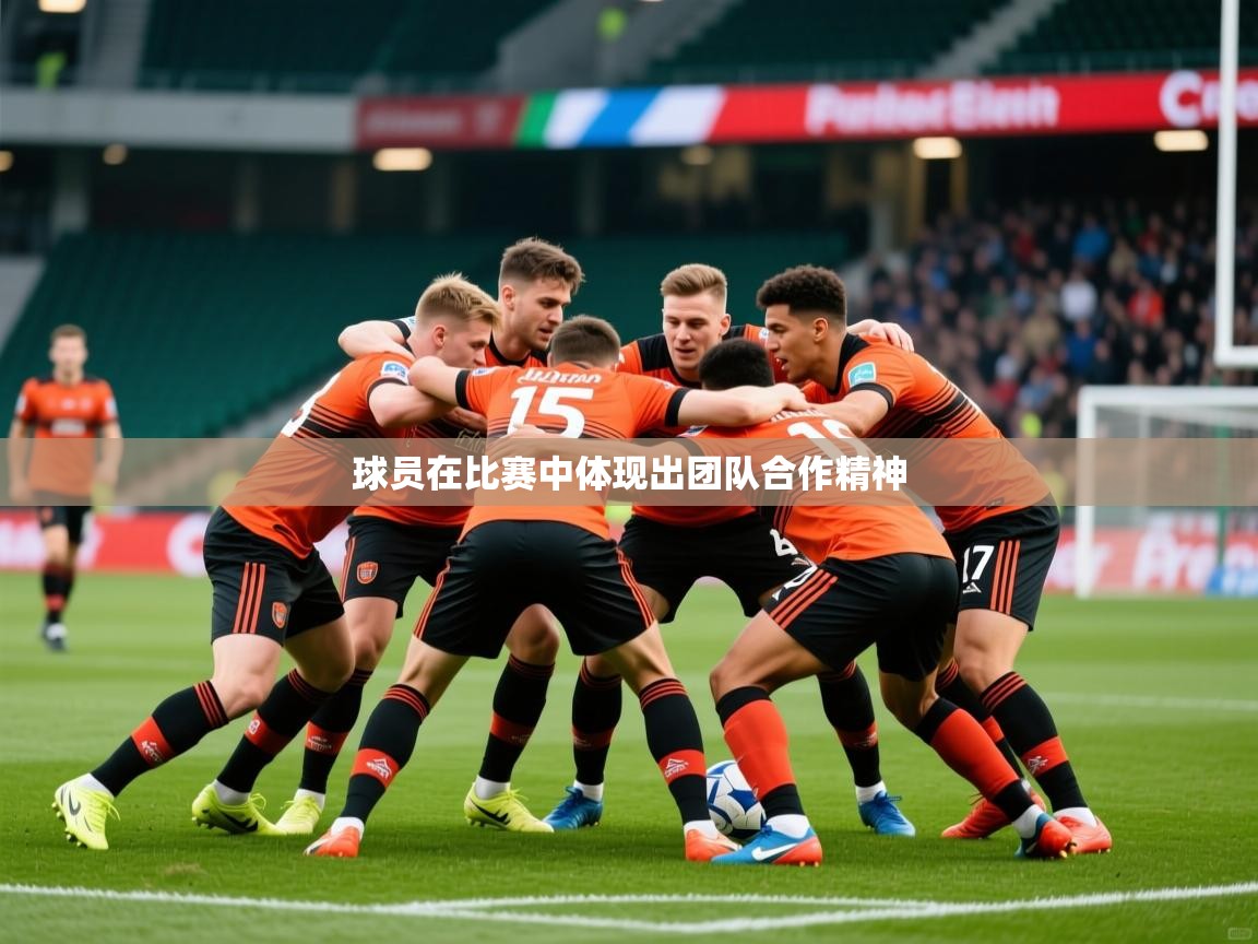 2025ued体育网页版登陆球员在比赛中体现出团队合作精神 第4张