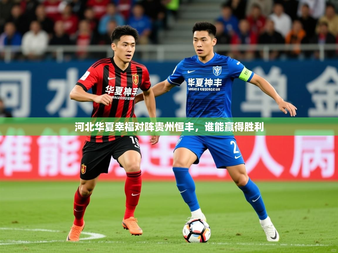 2026ued体育官网河北华夏幸福对阵贵州恒丰,谁能赢得胜利 第4张