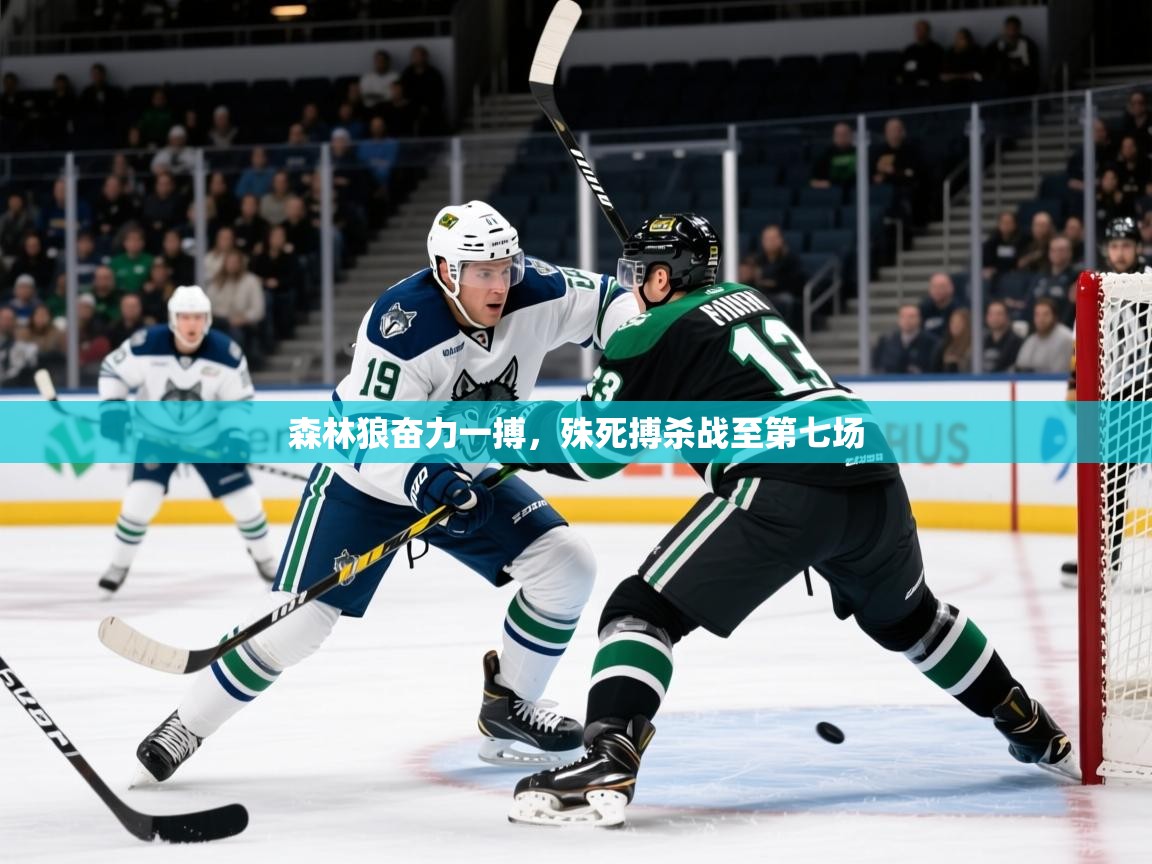 2026ued体育赛事森林狼奋力一搏，殊死搏杀战至第七场  第1张