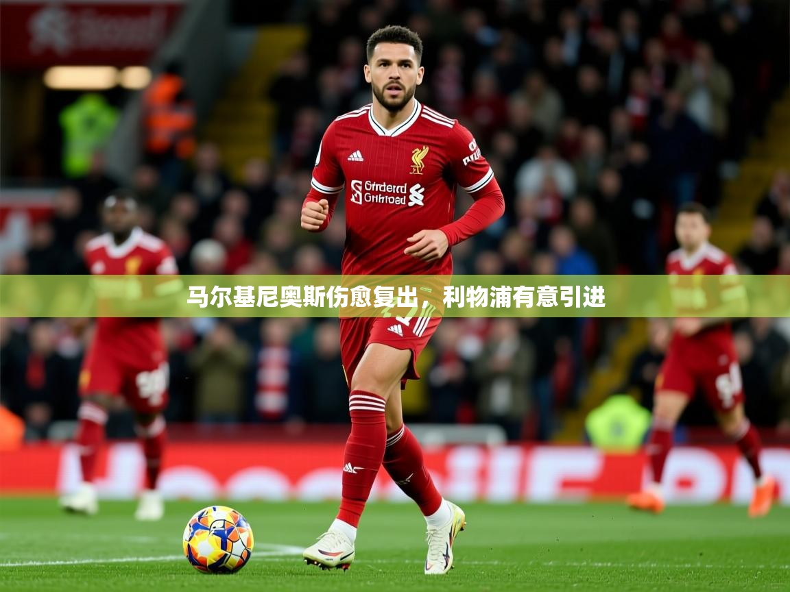 2026ued体育入口马尔基尼奥斯伤愈复出，利物浦有意引进  第1张
