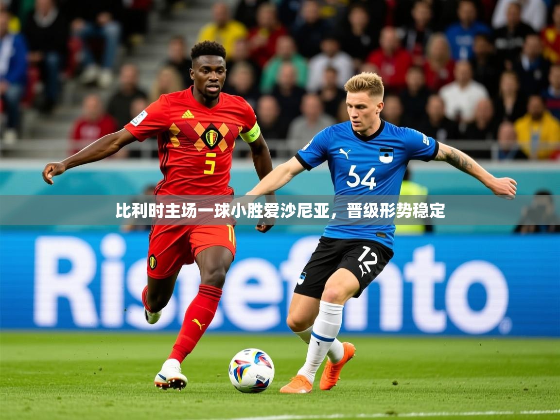 2026ued体育网页版比利时主场一球小胜爱沙尼亚，晋级形势稳定  第4张